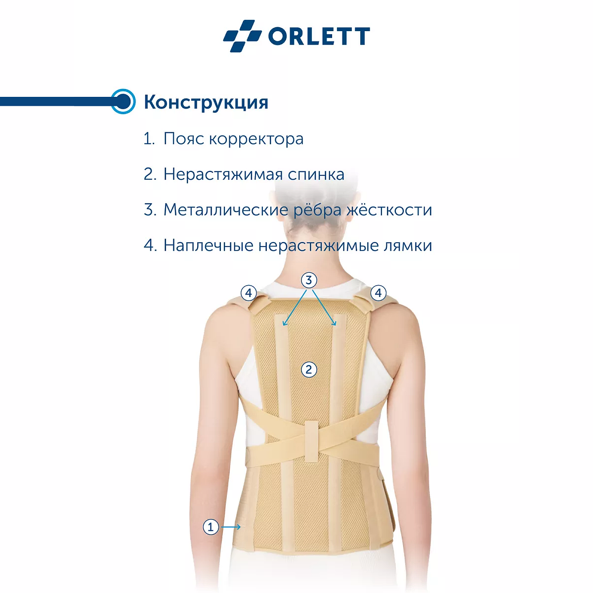 Корректор осанки TLSO-250(A) 2G Orlett, умеренная фиксация купить в OrtoMir24